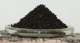 Schwarztee Johannisbeere schwarz 100 g